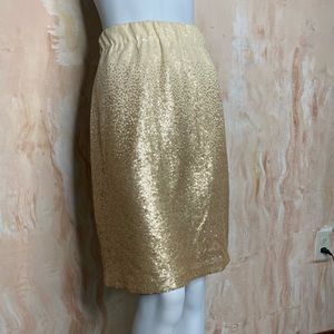 Medium Cremieux Aida Ombre Sequin Skirt